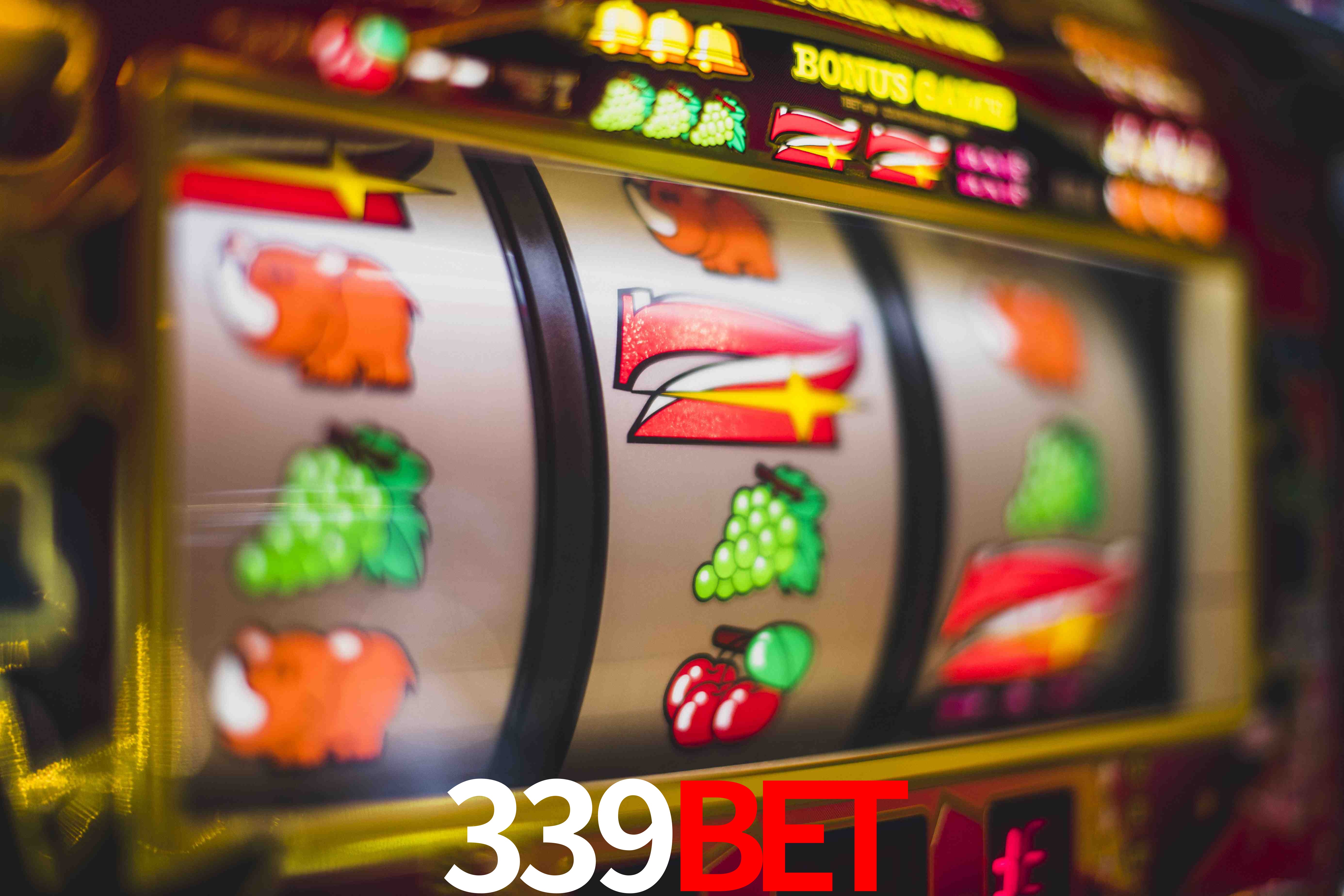 Crash Games Statistics 339bet